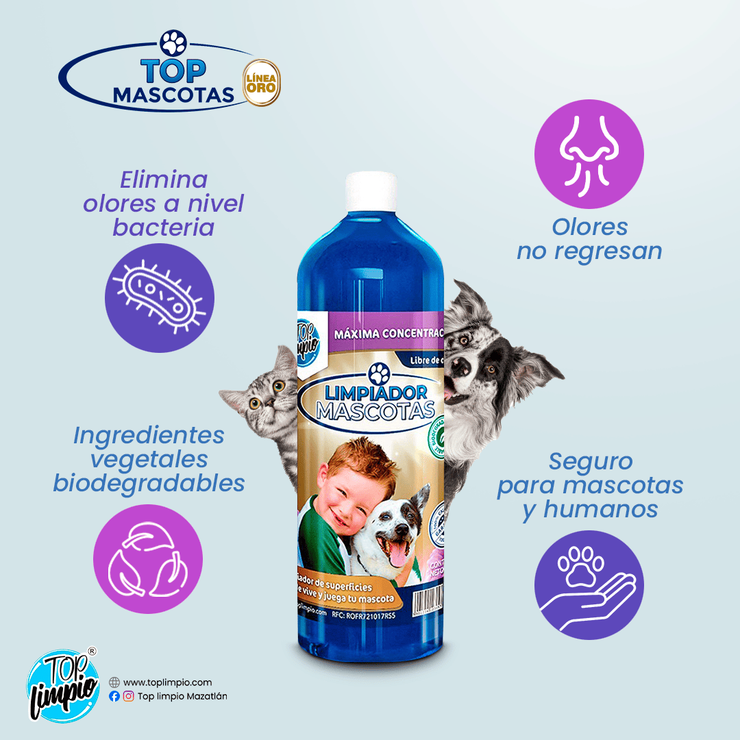 🐾Top Mascotas Oro🏡