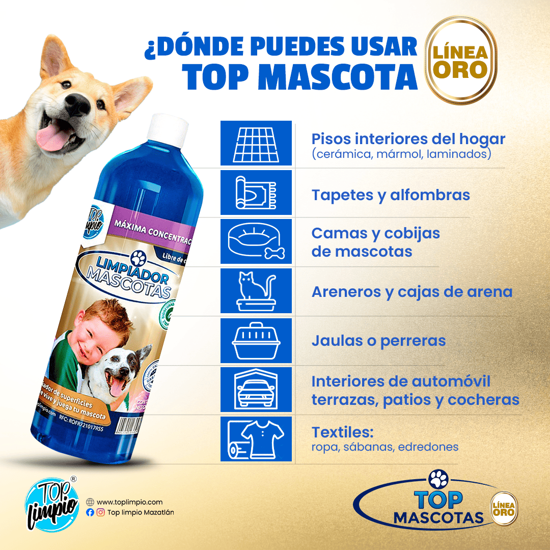 🐾Top Mascotas Oro🏡