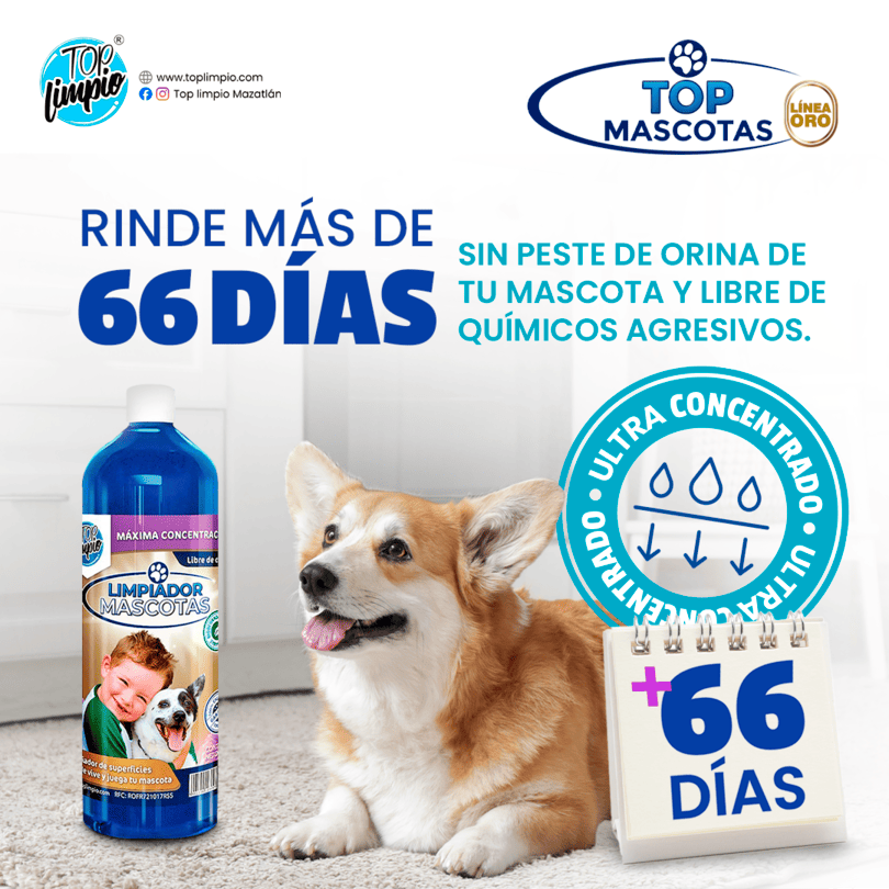 🐾Top Mascotas Oro🏡