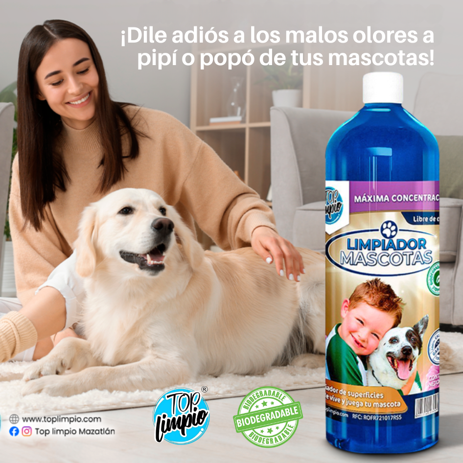 🐾Top Mascotas Oro🏡